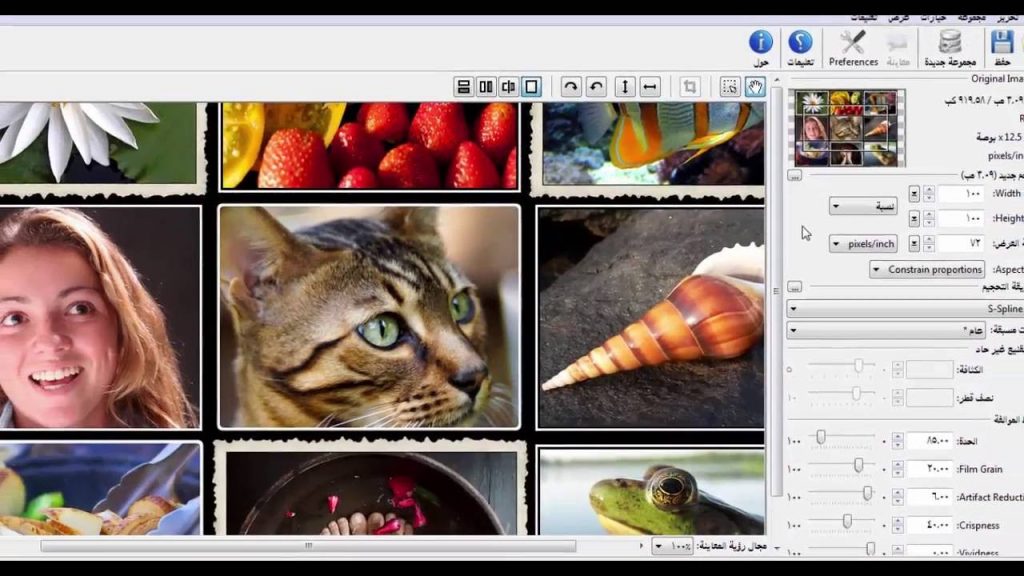 برنامج تكبير الصور PhotoZoom من أفضل البرامج التي تعمل علي تكبير الصور بجميع الصيغ المختلفة