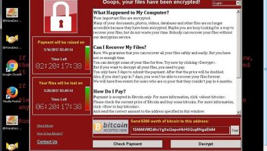 فايروس Ransomware - WannaCry الفديه